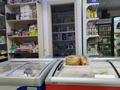 Магазины и бутики · 50 м² за 38 млн ₸ в Астане — фото 2