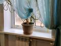 2-комнатная квартира · 48 м² · 2/2 этаж, Старый город, Старый город Яншина 21 — Яншина угол Некрасова за 10 млн ₸ в Актобе — фото 6