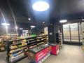 Еркін · 140 м², бағасы: 145 млн ₸ в Алматы, Бостандыкский р-н — фото 6