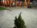 Свободное назначение, бани, гостиницы и зоны отдыха, развлечения · 300 м² за 100 млн ₸ в Костанае — фото 12