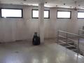 Свободное назначение · 254.1 м² за 487 млн ₸ в Алматы, Алмалинский р-н — фото 10