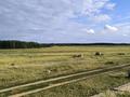 Участок · 25 соток, Заречная за 4 млн ₸ в Макинске — фото 5