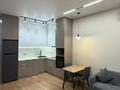 2-комнатная квартира · 45 м² · 4/12 этаж, Жошы хана 13 — Алихан Бокейхана за 300 000 ₸ в Астане, Есильский р-н — фото 5