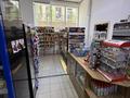 Готовый бизнес · 120 м² за 38 млн ₸ в Астане, Есильский р-н — фото 3
