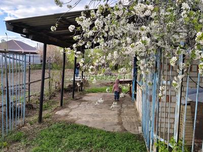Отдельный дом · 2 комнаты · 20 м² · 6 сот., Майский 48 за 5.2 млн ₸ в Актобе, жилой массив Жилянка
