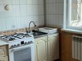 Отдельный дом · 5 комнат · 100 м² · 17 сот., Ақдала — За Апортом за 250 000 ₸ в Иргели — фото 11