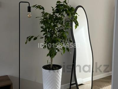 1-бөлмелі пәтер · 30 м² · 5/5 қабат, 3 13 — Зиба, бағасы: 8 млн ₸ в Жанаозен