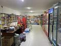Магазины и бутики • 170 м² за 30 млн 〒 в Тасбогете
