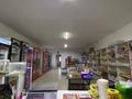 Магазины и бутики • 170 м² за 30 млн 〒 в Тасбогете — фото 2