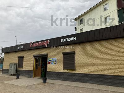 Магазины и бутики, общепит · 100 м² за 300 000 〒 в Балхаше