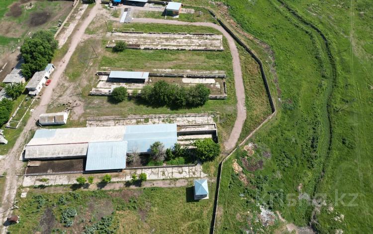 Өнеркәсіптік база · 4 га, Крылова 1, бағасы: 500 млн ₸ в Мерке — фото 7