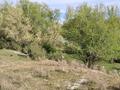 Отдельный дом · 7 комнат · 180 м² · 10 сот., С. Сейфуллина 14 — Орталық саябақ, өзен жағасында орналасқан за 25 млн ₸ в Каратау — фото 21