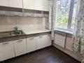 3-комнатная квартира · 46.7 м² · 3/5 этаж, пр. Мира — Горка дружбы за 8.5 млн ₸ в Темиртау — фото 10