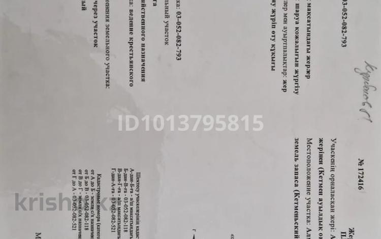 Жер телімі · 5 га, Шонжы, бағасы: 15 млн ₸ в Чундже — фото 4