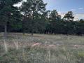 Участок · 7 соток, Энергетиков за 5 млн ₸ в  — фото 5