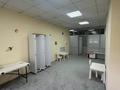 Детский центр развития и реабилитации · 270 м² за 11 млн ₸ в Астане, Сарыарка р-н — фото 22