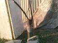 Жеке үй · 3 бөлме · 100 м² · 8 жүзд., Достық ш/а, бағасы: 18 млн ₸ в Шымкенте, Абайский р-н — фото 5