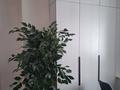 Отдельный дом · 3 комнаты · 80 м² · 10 сот., 28-й мкр. 249 за 30 млн ₸ в Восточно-Казахстанской обл. — фото 19