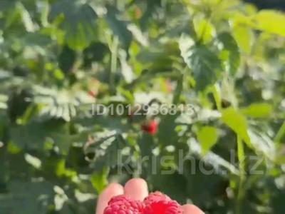 Саяжай · 1 бөлме · 10 м² · 100 сот., мкр Горный Гигант — Вверх по Омарова, бағасы: 5 000 ₸ в Алматы, Медеуский р-н