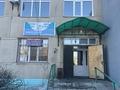 Еркін, кеңселер, дүкендер мен бутиктер · 300 м², бағасы: 28.5 млн ₸ в Боровском — фото 2