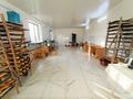 Қоғамдық тамақтану орны · 236.7 м², бағасы: 99 млн ₸ в Усть-Каменогорске — фото 8
