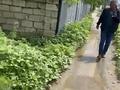 Участок · 10 соток, Старый город — Гоголя за 7 млн ₸ в Актобе — фото 2
