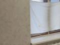 1 бөлме · 15 м² · 2/2 қабат, Переулок рауана 20 — Карталинская, бағасы: 45 000 ₸ в Астане, Сарыарка р-н — фото 4