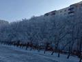 2-комнатная квартира · 58.8 м² · 3/11 этаж, мкр Юго-Восток, Сарыарка 19 — Старая Корзина, флагшток, НИШ за 26 млн ₸ в Караганде, Казыбек би р-н — фото 32