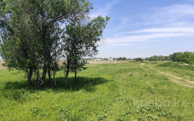 Жер телімі · 130 сотық, Талғар, бағасы: ~ 8.9 млн ₸ в Талгаре — фото 4
