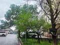 1-бөлмелі пәтер · 41 м² · 4/9 қабат, тлендиева, бағасы: 36.4 млн ₸ в Алматы, Бостандыкский р-н — фото 14