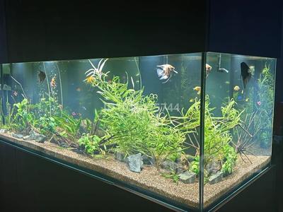 3-бөлмелі пәтер · 123.5 м² · 20/21 қабат, Аль-Фараби 27/5 — Сейфуллина, бағасы: 250 млн ₸ в Алматы, Бостандыкский р-н