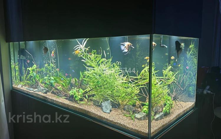 3-бөлмелі пәтер · 123.5 м² · 20/21 қабат, Аль-Фараби 27/5 — Сейфуллина, бағасы: 250 млн ₸ в Алматы, Бостандыкский р-н — фото 11