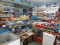 Продуктовый магазин · 35 м² за 18.3 млн ₸ в Усть-Каменогорске — фото 2
