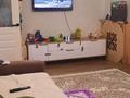 Дача · 3 комнаты · 68 м² · 10 сот., мкр Бадам за 25 млн ₸ в Шымкенте, Енбекшинский р-н — фото 12