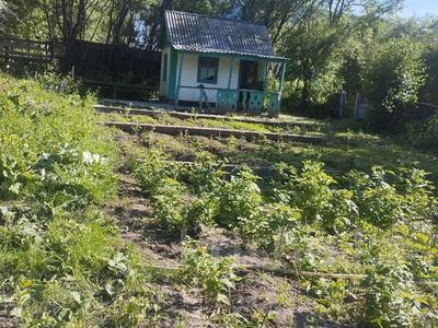 Дача · 2 комнаты · 120 м² · 12 сот., 3-я ул. 49 за 1.5 млн ₸ в Текели