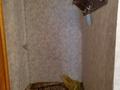 2-комнатная квартира, 50 м², 1/9 этаж помесячно, мкр Аксай-1А — Толе ли момышулы за 180 000 〒 в Алматы, Ауэзовский р-н — фото 3