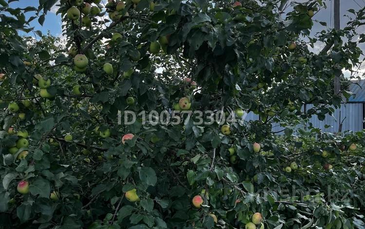 Дача · 1 комната · 15 м² · 5.2 сот., Мичурина — Красноярская трасса 4 дачная за 2.2 млн 〒 в Кокшетау — фото 2