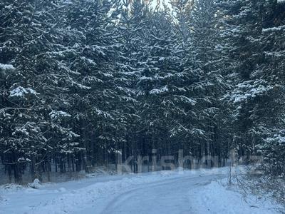 Участок · 25 соток, Достык 47 — УЧАСТОК В СОСНОВОМ БОРУ! ЛЕСХОЗ‼️‼️‼️ за 20 млн 〒 в Акколе