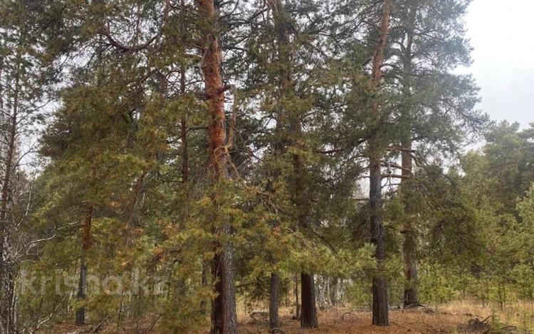 Участок · 4.5 га, Щербакова 1 за 35 млн ₸ в Аманкарагае — фото 2