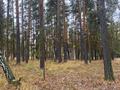 Участок · 4.5 га, Щербакова 1 за 35 млн ₸ в Аманкарагае — фото 14