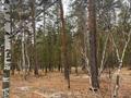 Участок · 4.5 га, Щербакова 1 за 35 млн ₸ в Аманкарагае — фото 15