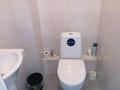 Жеке үй · 10 бөлме · 230 м² · 10.2 жүзд., Маргулан 30, бағасы: 160 млн ₸ в Боралдае (Бурундай) — фото 13