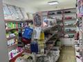Магазины и бутики • 100.5 м² за 55 млн 〒 в Алматы, Наурызбайский р-н — фото 6