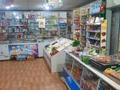 Магазины и бутики • 196 м² за 40 млн 〒 в Сергеевке — фото 4