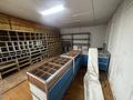 Дүкендер мен бутиктер · 27 м², бағасы: 95 000 ₸ в Экибастузе — фото 5