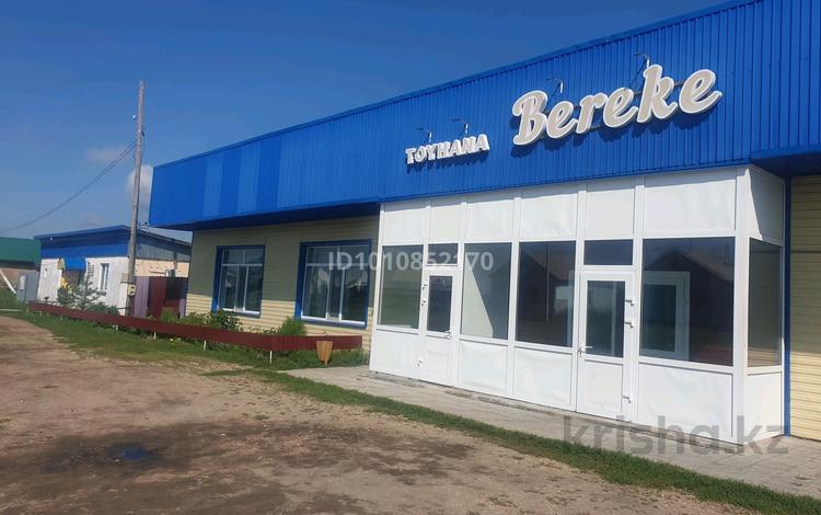 Действующий Ресторан. · 500 м² за 120 млн ₸ в Подгорном — фото 2