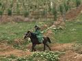 Действующий аграрный бизнес, яблоневый сад, 8Га., 8000 м² за 15 млн 〒 в Таразе — фото 25