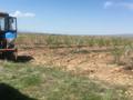 Действующий аграрный бизнес, яблоневый сад, 8Га., 8000 м² за 15 млн 〒 в Таразе — фото 4