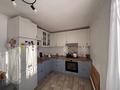 Отдельный дом · 5 комнат · 150 м² · 12 сот., Тихоненко 2/6 — Находится в начале улицы, не доезжая поворота за 45 млн ₸ в Аксае — фото 13