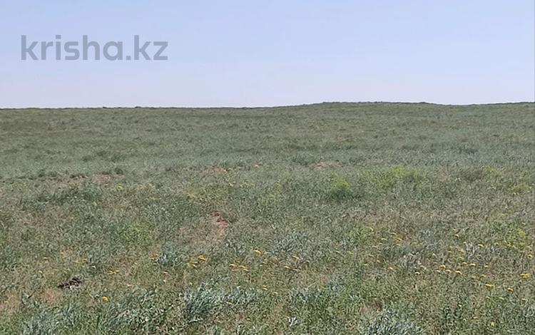 Участок · 8 соток, Жаңаталап за 2.2 млн ₸ в Шымкенте — фото 2